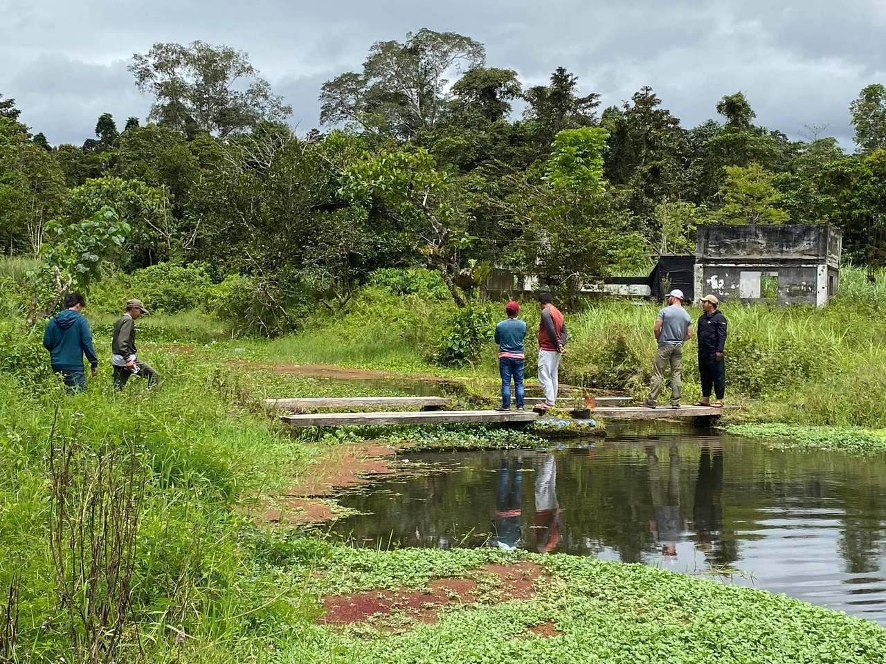 International Research Analysis Impl Project